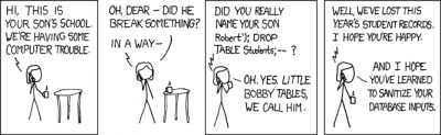 A company with an SQL injection name
